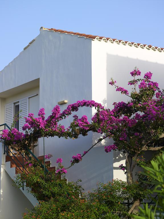 Mousses Apartments & Studios Kissamos Bilik gambar